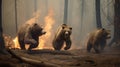 Scared bear family runs away from forest fire, largest wildfire in woods natural disaster