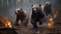 Scared bear family runs away from forest fire, largest wildfire in woods natural disaster