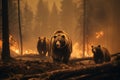 Scared bear runs away from forest fire, largest wildfire in woods natural disaster. generative AI