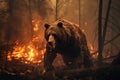 Scared bear runs away from forest fire, largest wildfire in woods natural disaster. generative AI