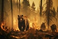 Scared bear runs away from forest fire, largest wildfire in woods natural disaster. generative AI