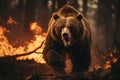 Scared bear runs away from forest fire, largest wildfire in woods natural disaster. generative AI