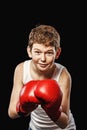Scared boxer Royalty Free Stock Photo