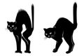 Scared Cats Silhouettes. Witch\'s black cat. Cartoon and realistic versions Royalty Free Stock Photo