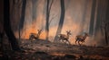 Scared deers family runs away from forest fire, largest wildfire in woods natural disaster Royalty Free Stock Photo