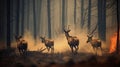 Scared deers family runs away from forest fire, largest wildfire in woods natural disaster Royalty Free Stock Photo