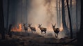 Scared deers family runs away from forest fire, largest wildfire in woods natural disaster Royalty Free Stock Photo