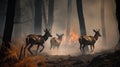 Scared deers family runs away from forest fire, largest wildfire in woods natural disaster Royalty Free Stock Photo