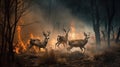 Scared deers family runs away from forest fire, largest wildfire in woods natural disaster Royalty Free Stock Photo