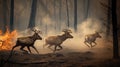 Scared deers family runs away from forest fire, largest wildfire in woods natural disaster Royalty Free Stock Photo