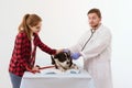 Dog getting checked at vet clinic with thir owner. Royalty Free Stock Photo