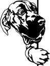 Scared Great Dane Dog - Funny Dog - Pet Dog Vector Clipart, Dog Silhouette Stencil