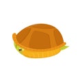 Scared green turtle hiding in its shell. Cartoon character of reptile. Marine animal. Flat vector element for children Royalty Free Stock Photo