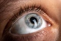 scared human eye closeup, fear symbol Royalty Free Stock Photo