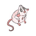 Scared or hypnotized mouse or rat. Small vulnerable rodent. Cartoon comic style illustration, vector stock image Royalty Free Stock Photo