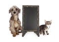 Scared Rescue Puppy and Kitten Blank Chalkboard