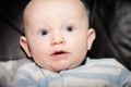 Scared or Startled Chubby Baby Royalty Free Stock Photo