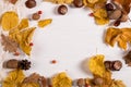 Scarf, chestnuts, nuts and dry leaves on a wooden table. Autumn background, copy space