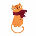 ÃÂ¡at in the scarf. Cute kitten character. Mascot of goods for pets, ÃÂat clothes. Knitwear for cats.