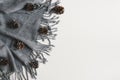 Scarf of gray color and decorative pine cones on white background Royalty Free Stock Photo