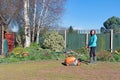 Scarifying a lawn damaged by chaffer grubs, in the Spring and Summer, of 2021, 2. Royalty Free Stock Photo