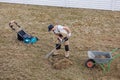 Scarifying lawn with rake and scarifier, Man gardener scarifies the lawn and removal of old grass