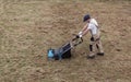 Scarifying lawn with scarifier, Man gardener scarifies the lawn and removal of old grass Royalty Free Stock Photo