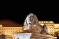 stone lion from the Chain Bridge across the river Danube in Budapest