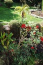 Scarlet beebalm flowers grown in the garden Royalty Free Stock Photo