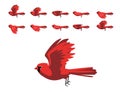 Scarlet Cardinal Flying Animation Cute Cartoon Vector Illustration Royalty Free Stock Photo