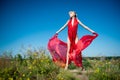 Scarlet gown Royalty Free Stock Photo