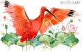 Scarlet ibis bird hand draw watercolor illustration Royalty Free Stock Photo