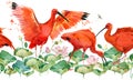 Scarlet ibis. tropical bird watercolor seamless pattern