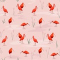 Scarlet Ibises seamless texture Royalty Free Stock Photo