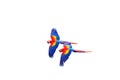 Scarlet macaw Ara macao flying  with white background. Macaw pair flying isolated Royalty Free Stock Photo