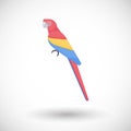 Scarlet macaw bird flat icon Royalty Free Stock Photo