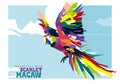 Scarlet Macaw