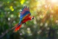 Scarlet Macaw flying in forest.Generative AI