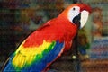 Scarlet Macaw Painting Royalty Free Stock Photo