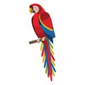 Scarlet Macaw Red Exotic Parrot in Flat