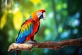 A scarlet macaw sitting on a branch. a representative of a large group of neotropical parrots called macaws