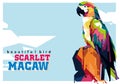 Scarlet Macaw in Wpap Royalty Free Stock Photo