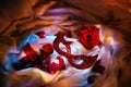 Scarlet mask and rose Royalty Free Stock Photo