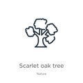 Scarlet oak tree icon. Thin linear scarlet oak tree outline icon isolated on white background from nature collection. Line vector Royalty Free Stock Photo