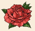 Scarlet rose colorful vintage sticker