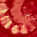 Scarlet Spiral Tie Dye Texture. Maroon Swirl Watercolor Layer. Yellow Ink Chinese Art. Cochineal Batik Brush Banner. Dirty Art Pai