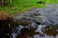 Scarred Glacier Rock