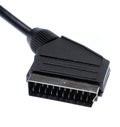 Scart cable Royalty Free Stock Photo