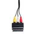 SCART cable