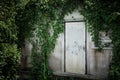 Scary abandoned house with a climbing plant or green ivy covered roof and wall with closed old white wooden door Royalty Free Stock Photo